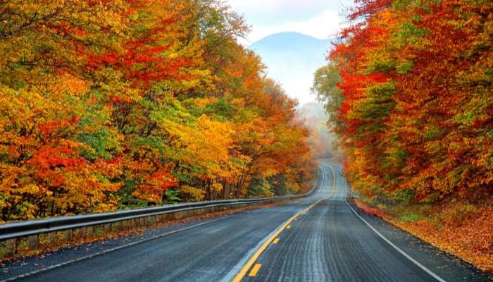 US Scenic Drives and Hikes to Enjoy This Fall