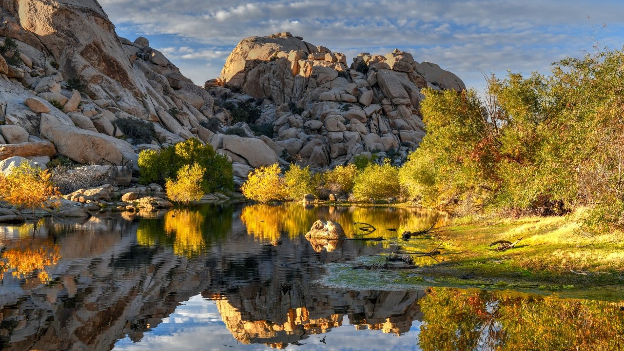 Top Hikes in Joshua Tree National Park