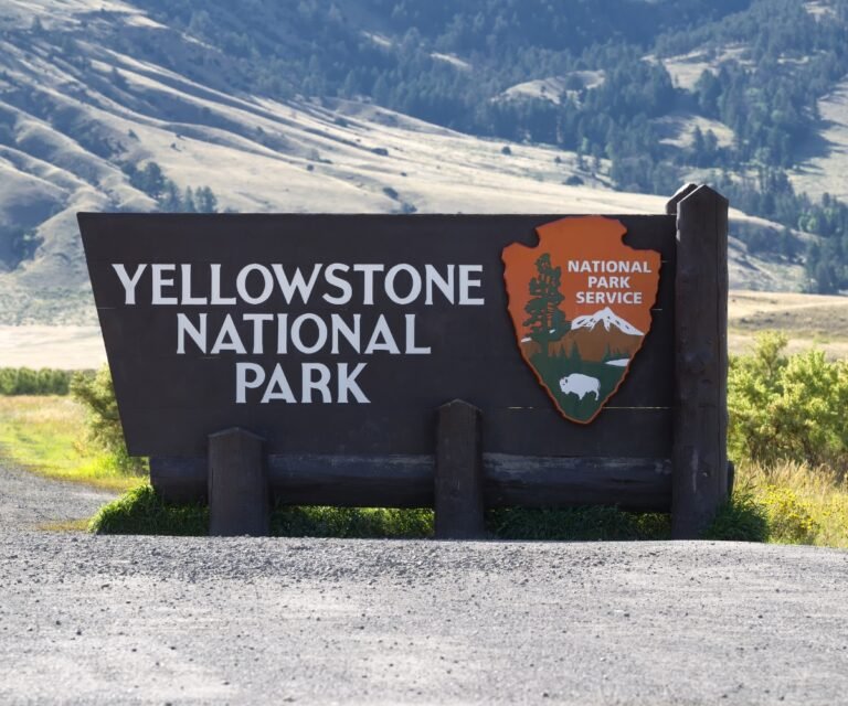 Yellowstone’s North Entrance - A Complete Guide