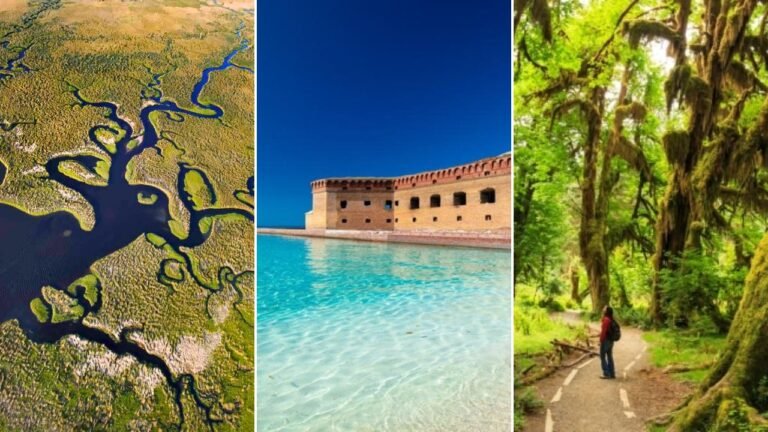 These Are 10 Epic National Parks In Florida Youll Love 2024 768x432 