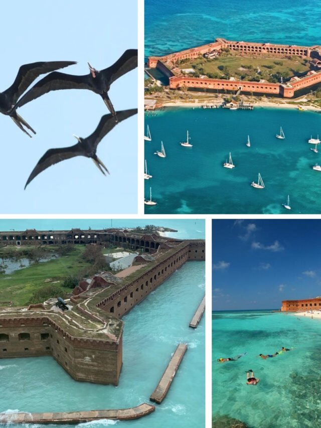 Dry Tortugas National Park: 6 Secrets Every Visitor Should Know