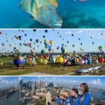 8 Fun Activities to Do with Your Family in Australia