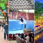 Things to Do in San Antonio Texas, Things to Do in San Antonio, San Antonio Texas, San Antonio