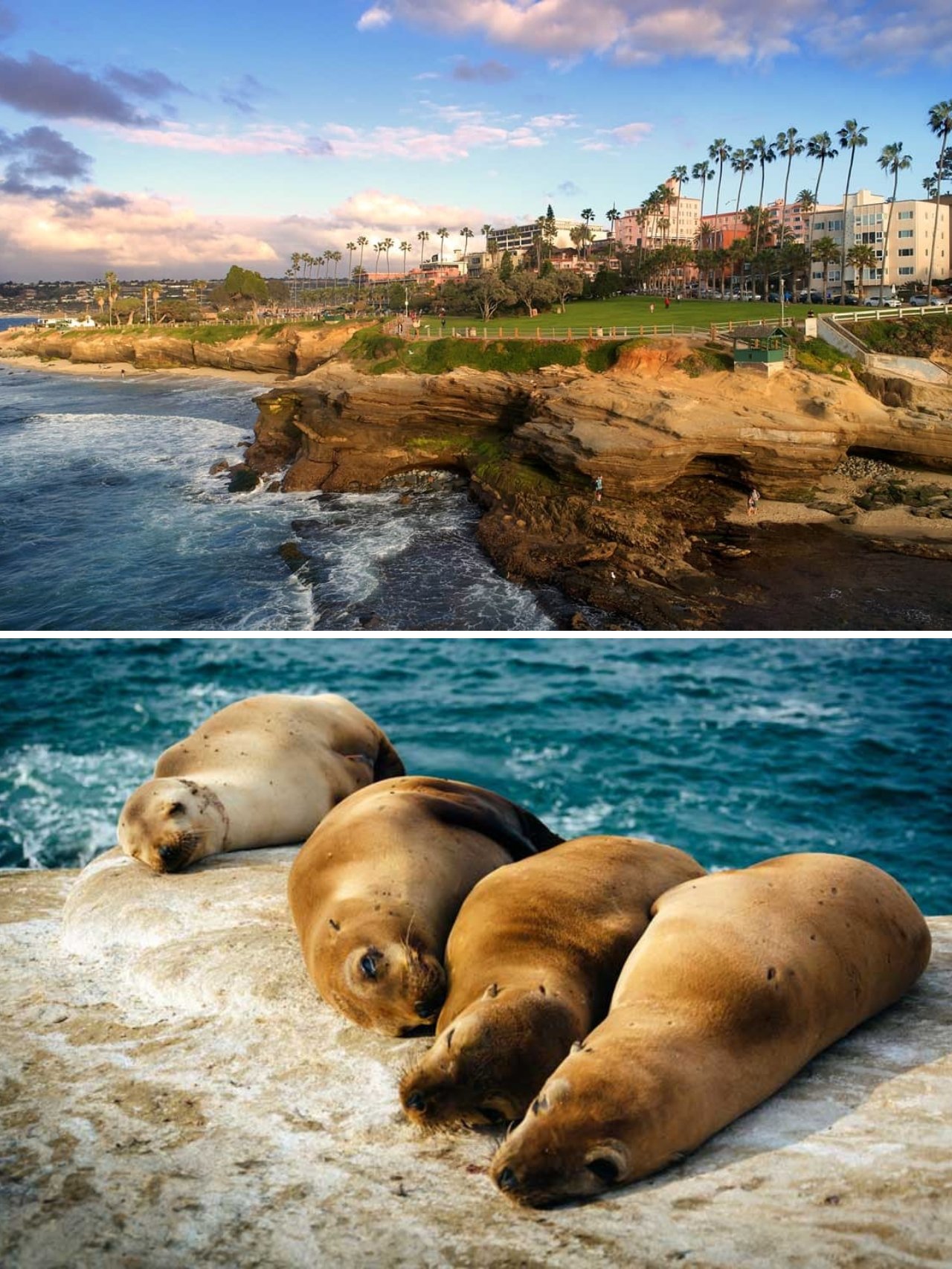 7 Unique Fun Things To Do In La Jolla 2024 You Can T Miss   7 Unique Fun Things To Do In La Jolla 2024 You Cant Miss 1 