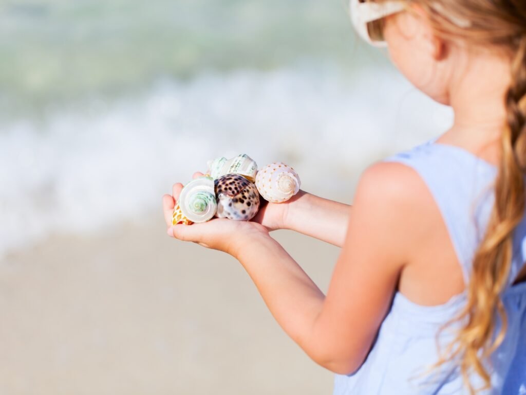Girl with Sea Shells in her hands - Image View more by blueorangestudio - Best Beach Activities for Kids
