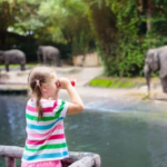 St. Louis' 10 Finest Zoos: Ideal Spots for Animal Admirers