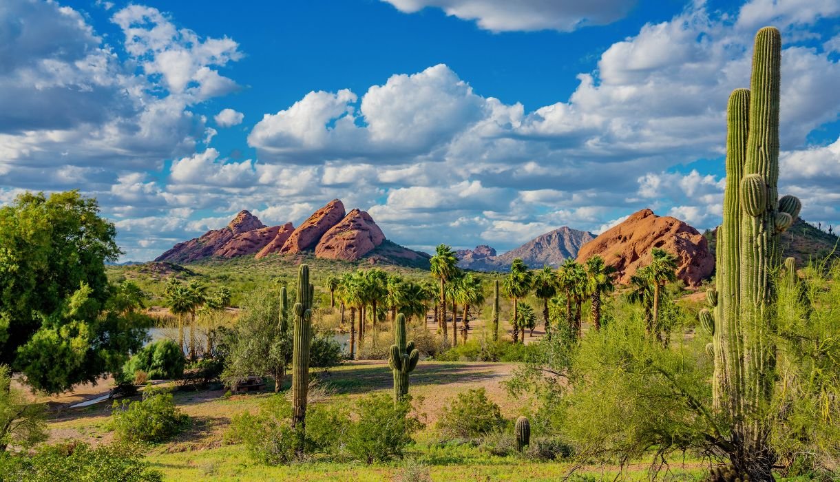 Sonoran Desert Near Phoenix AZ⁠ during Springtime - Image by Ron And Patty Thomas From Getty Images Signature