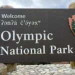 things to do in olympic national park, olympic national park, best hikes in olympic national park, best time to visit olympic national park, olympic national park where to stay, olympic national park, Hidden gems in olympic national park, Hidden places in olympic national park