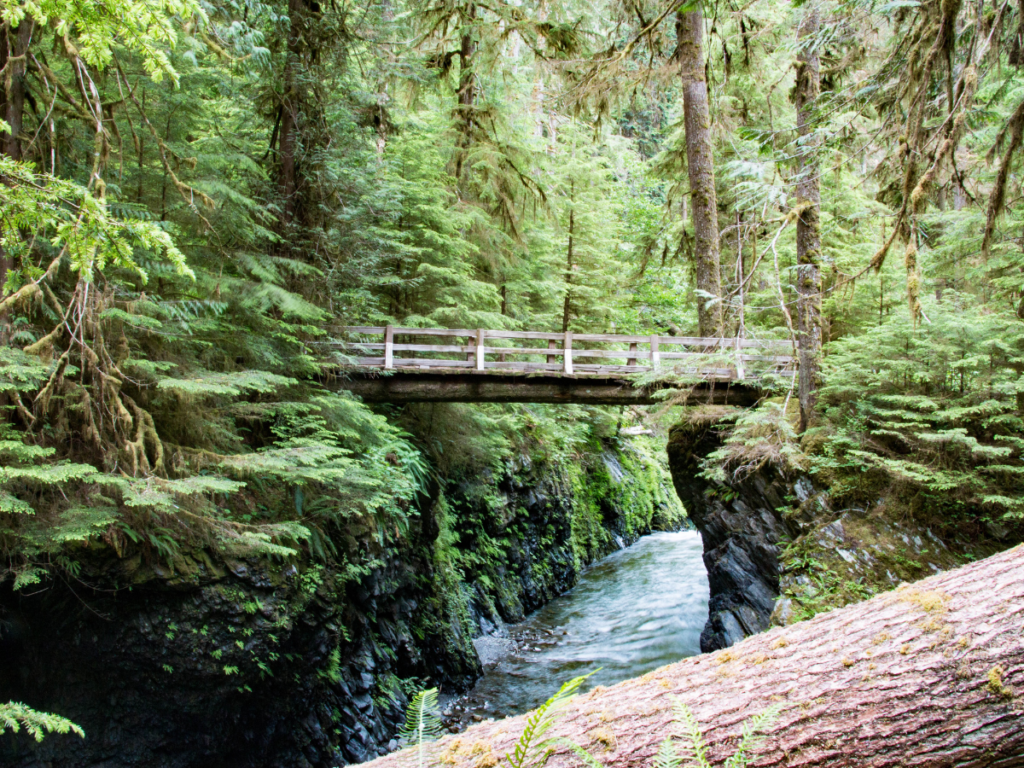 things to do in olympic national park, olympic national park, best hikes in olympic national park, best time to visit olympic national park, olympic national park where to stay, olympic national park, Hidden gems in olympic national park, Hidden places in olympic national park

